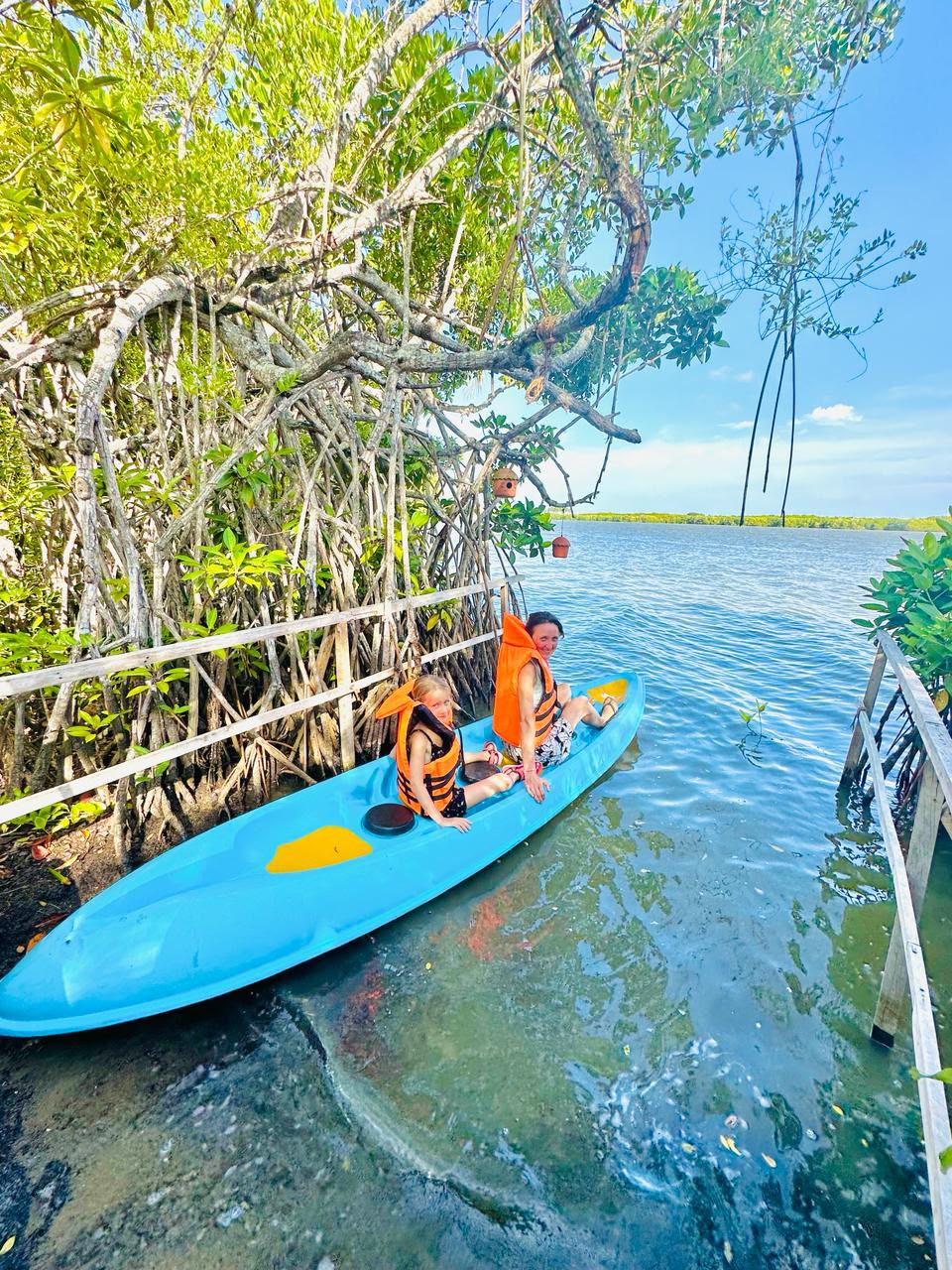 Two guests kayaking beside Tangalle mangroves